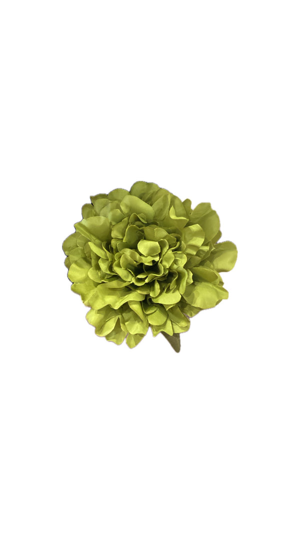 Peonia